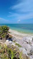 video panning al di sopra di tulum tropicale spiaggia durante giorno durante alga marina peste nel primavera 2022