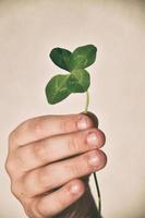 l child's hand holding a four-leaf clover on his fingers on a smooth background photo