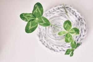 a bouquet of l field four-leaf clovers in a small vase on a light smooth background photo