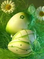 easter egg green photo