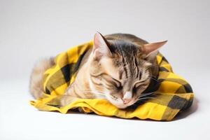 un enfermo cansado atigrado gato mentiras dormido en un amarillo tartán, de cerca. ai generado. foto