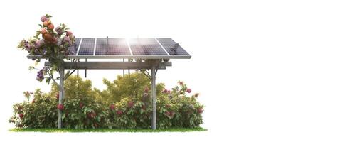 Solar panel in fruit trees on white background, isolate. Clean technologies of future. . photo