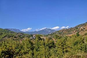 hermosa ver de el turco montañas cubierto con verde bosque en un verano día, foto