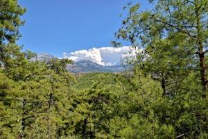 beautiful view of the Turkish mountains covered with green forest on a summer day, photo