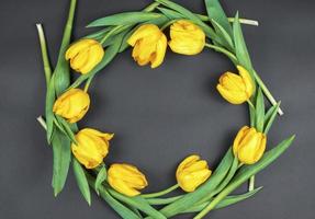 circle of yellow tulips on a black background. Place for a text photo