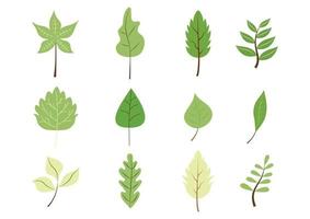 Green leaves flat set vector