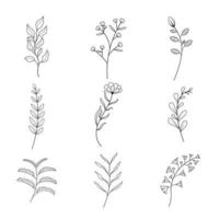 minimalista flores y botánico recopilación. mano dibujado floral rama, hojas hierbas y salvaje plantas conjunto en línea estilo. para decoración, Boda y invitación tarjeta, diseño proyecto. ilustrador vector