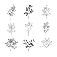 Minimalist flowers and botanic collection. Hand drawn floral branch, leaves herbs and wild plants set in line style. For decoration, wedding and invitation card, design project. illustrator vector