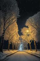 street lined with snow covered trees at night. . photo
