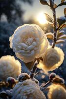 manojo de blanco flores cubierto en nieve. generativo ai. foto