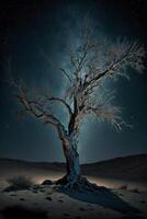 lone tree in the middle of a desert at night. . photo