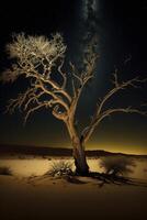 lone tree sitting in the middle of a desert. . photo