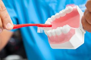 Dentist using a dental model to show the correct way to brush your teeth photo