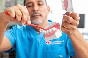 Dentist using a dental model to show the correct way to brush your teeth photo