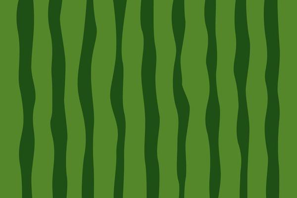 watermelon pattern background. summer fruit concept. vector illustration