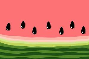 watermelon pattern background. summer fruit concept. vector illustration