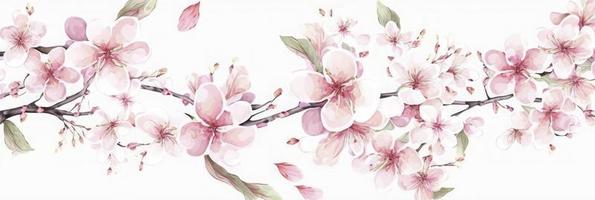 acuarela ilustración de Cereza flores horizontal línea decoración. sin costura modelo. decoración ligero rosado Cereza florecer flores marco con blanco fondo, generar ai foto
