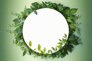 Empty white summer and spring nature background with fresh green leaves and circle frame, generate ai photo