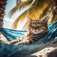 linda gato acostado en hamaca en playa con palma arboles linda gato en vacaciones acostado en hamaca en playa con palma arboles generativo ai. foto