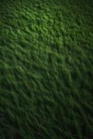 Green grass background texture. Element of design. Abstract green grass background. Green grass texture. . photo