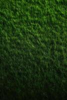 Green grass background texture. Element of design. Abstract green grass background. Green grass texture. . photo