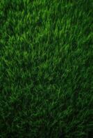 Green grass background texture. Element of design. Abstract green grass background. Green grass texture. . photo
