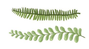 Exotic foliage and branches, leafage and twigs vector