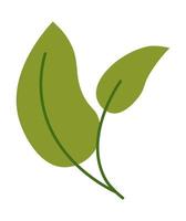 Green leaf on stem, ecologically friendly plant vector