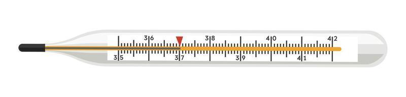 Body temperature measuring device, thermometer vector