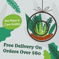 Free delivery on orders over 60, flower shops vector