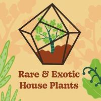 Rare and exotic house plants, florarium succulents vector