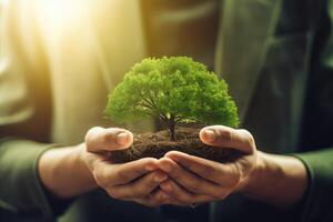 Hands protecting globe of green tree on tropical nature summer background, Ecology and Environment concept. . photo