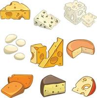 Of A Set Of Different Kinds Of Cheese . vector