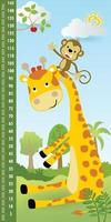 Height measurement wall with funny monkey climbing giraffes neck to pick a fruit in forest, vector cartoon illustration