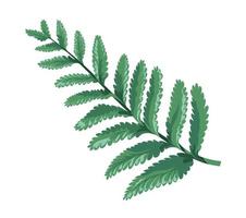 Tropical branches and flowers, exotic fern design vector