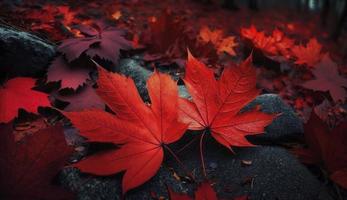 rojo otoño arce hojas tendido en el bosque suelo, generar ai foto