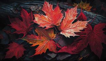 rojo otoño arce hojas tendido en el bosque suelo, generar ai foto