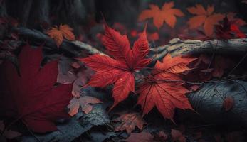 rojo otoño arce hojas tendido en el bosque suelo, generar ai foto