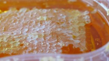 detail shot of honey comb video