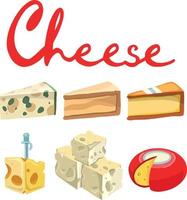 Cheese types. Modern flat style realistic vector illustration icons isolated on white background.