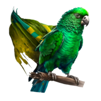 papegaai mascotte PNG transparant