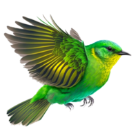 beautiful green birds icon free illustration png