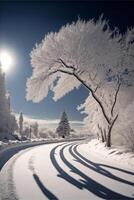 road surrounded by snow covered trees on a sunny day. . photo