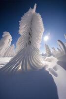 group of trees covered in snow on a sunny day. . photo