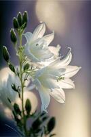 close up of a white flower in a vase. . photo