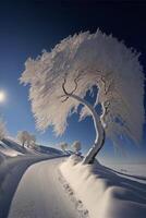 snow covered tree sitting on top of a snow covered slope. . photo