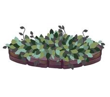 Small plant in pot succulents or cactus isolated on white background photo