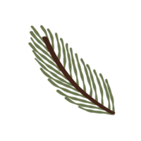 Green twig isolated in doodle style png