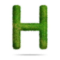 Green grass alphabet letter h for education concept png