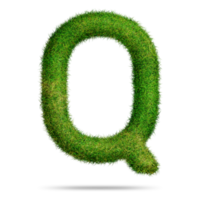 Grün Gras Alphabet Brief q zum Bildung Konzept png